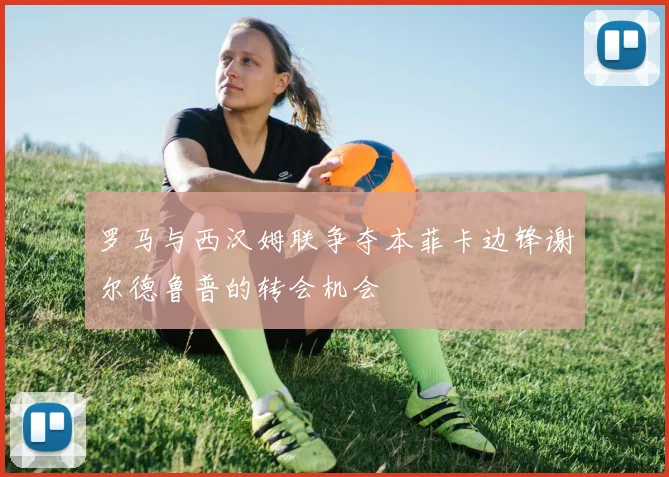 罗马与西汉姆联争夺本菲卡边锋谢尔德鲁普的转会机会